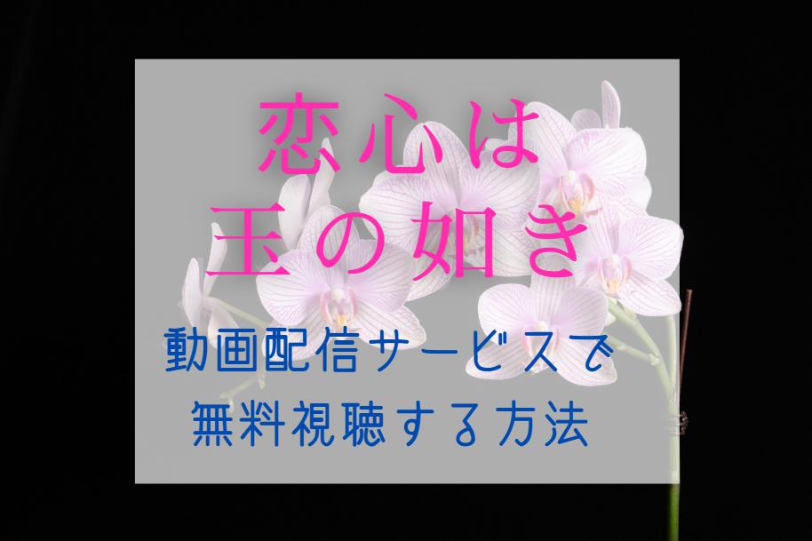 中国ドラマ『恋心は玉の如き』日本放送を見逃したら｜配信で全話無料視聴する方法 – 韓ドラ通信