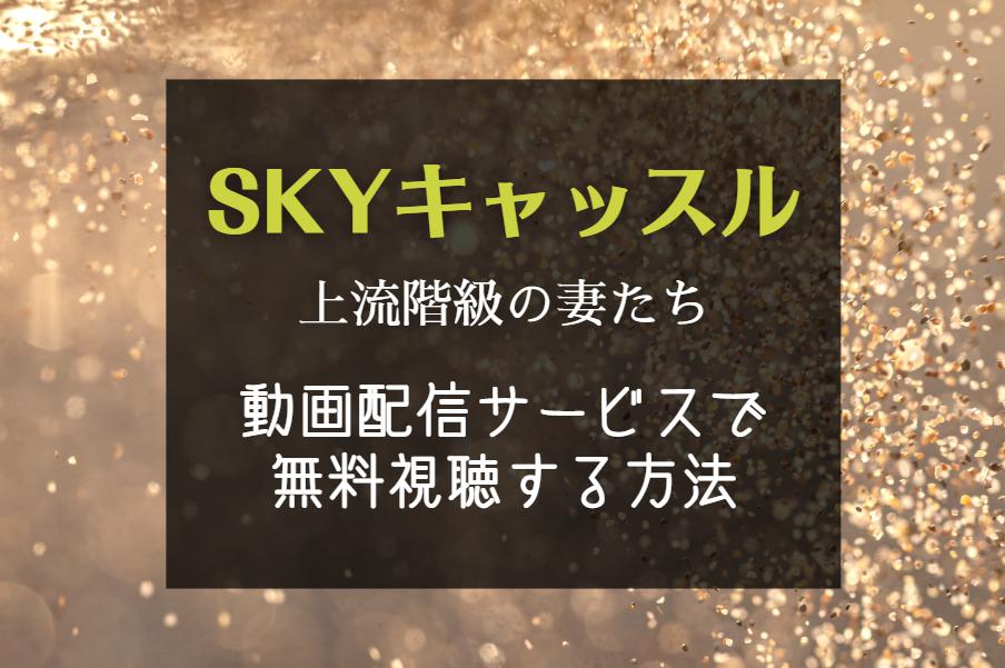 ドラマ『SKYキャッスル』AmazonプライムやNETFLIX配信サブスクはどこで見ると無料？