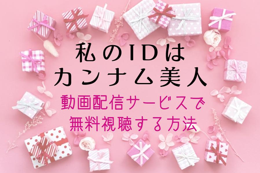 『私のIDはカンナム美人』無料で全話配信を見る方法