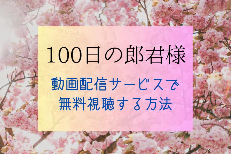 『100日の郎君様』全話無料で見る方法｜動画配信サイトを比較