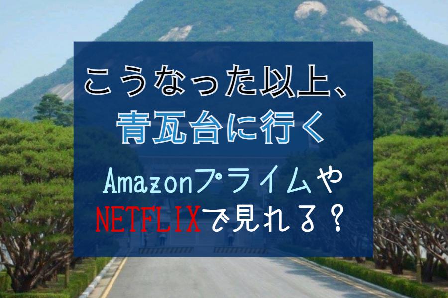 『こうなった以上、青瓦台に行く』動画配信サービスで全話無料視聴する方法