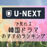 U-NEXT(ユーネクスト)で見れる韓国ドラマおすすめランキング