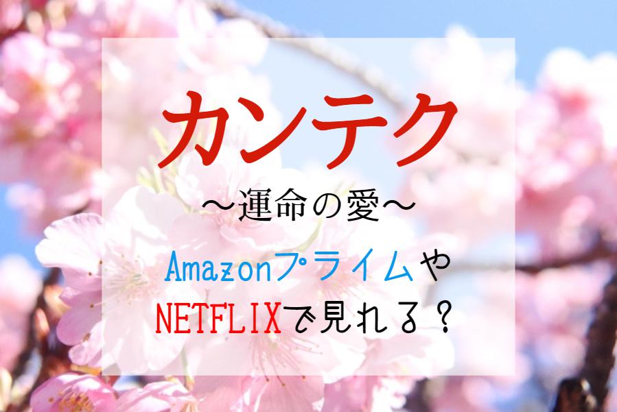 『カンテク～運命の愛～』NETFLIXやAmazonプライムで配信無料で全話見れる？