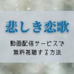 『悲しき恋歌』NETFLIXやAmazonプライムで配信見れる？全話無料で見る方法