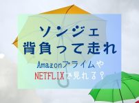 『ソンジェ背負って走れ』NETFLIXやAmazonプライムどこで見れる？