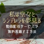 『私は堂々とシンデレラを夢見る』NETFLIXやAmazonプライムで配信見れる？