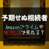 『予期せぬ相続者』NETFLIXやAmazonプライムで配信見れる？